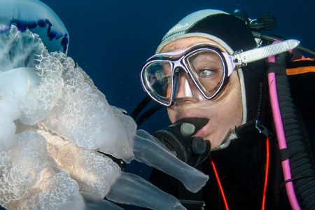Blue Diving